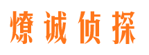 奉新市调查公司